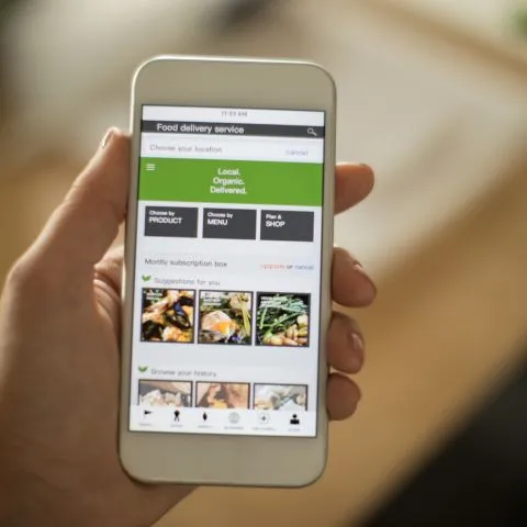 Benefits of Food Delivery Apps Development