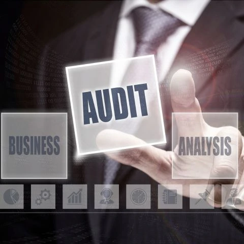 Top Search Engine Optimization Service