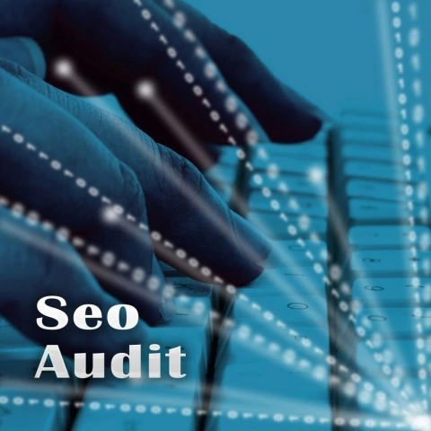 Why You Need an SEO Audits Service for Your Business