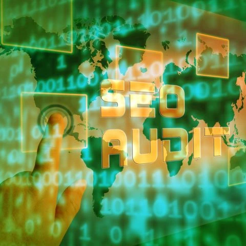Professional SEO Audits Solutions