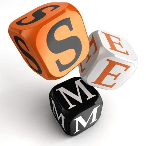 Professional Search Engine Marketing Solutions