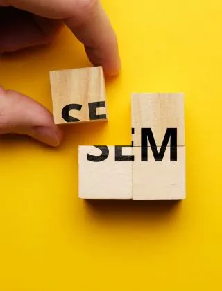 Professional Search Engine Marketing Solutions