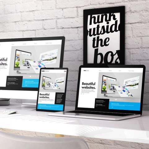 Professional Business Website Designing Solutions