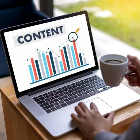 Professional Content Marketing Solutions