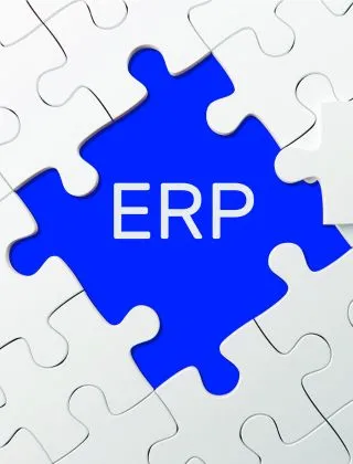 What is a Good Time to Start ERP Website Design?