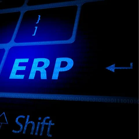 Professional ERP Website Design Solutions