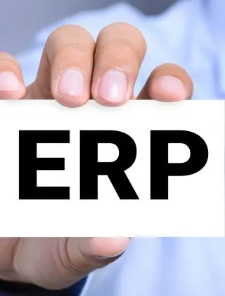 Professional ERP Website Design Solutions