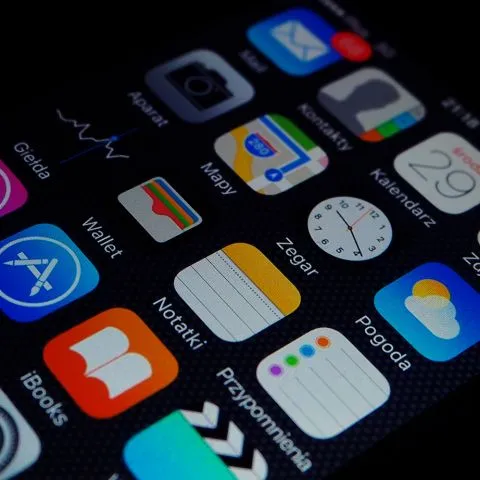 Top iOS App Development Services