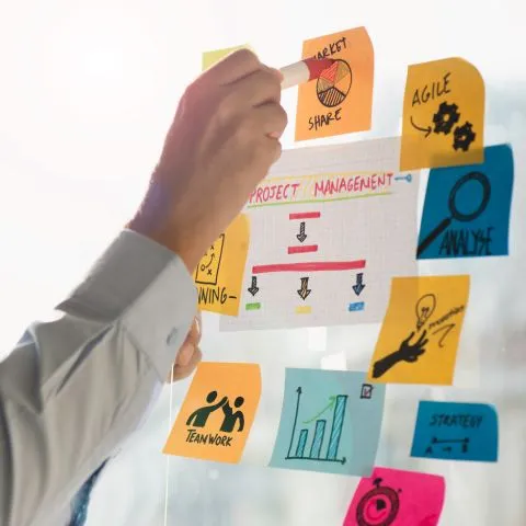 Benefits of School Management Website Design