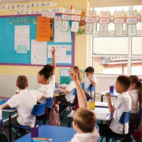 Professional School Management Website Design Solutions