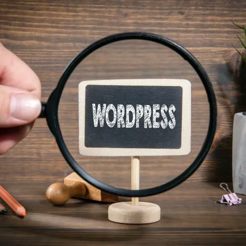 Top WordPress Website Design Service