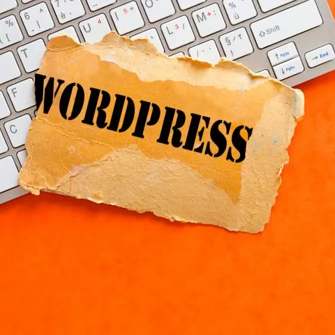 Benefits of WordPress Website Design Service