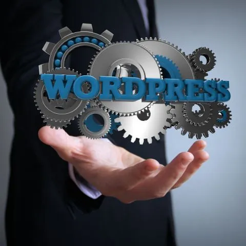 Professional WordPress Website Design Solutions