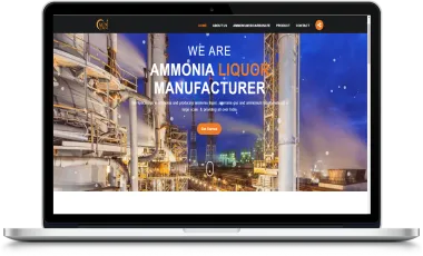 Static websites display fixed content without server-side processing.