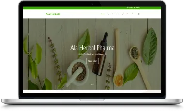 Company Specializing in Herbal and Ayurvedic Products