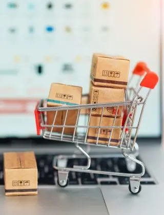 Professional Shopping App Development Solutions