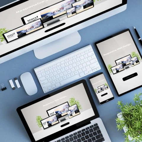 What is the Good Time to Design a CMS Website