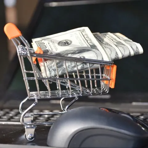 Professional E-commerce SEO Solutions