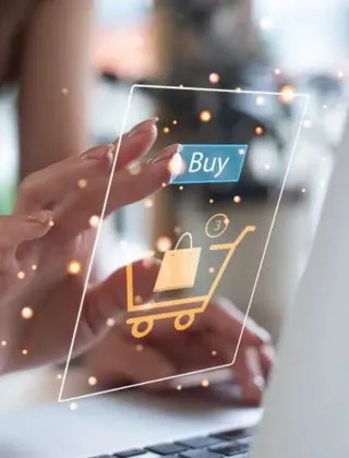 Professional E-commerce SEO Solutions